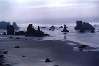Oregon Stone Beach